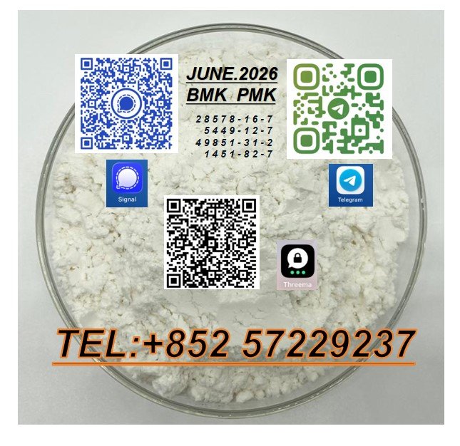 elisec645