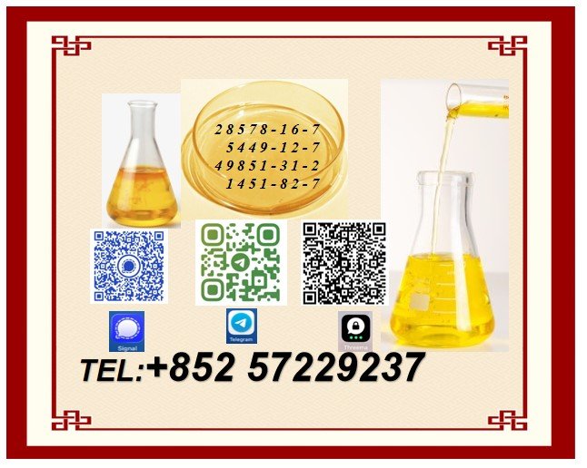 elisec645