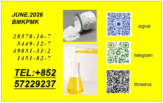 elisec645