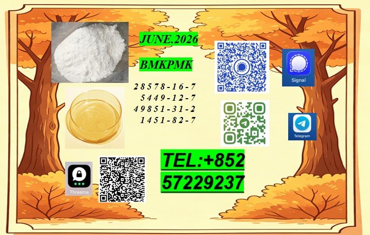 elisec645