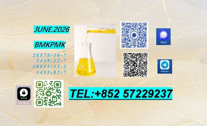 elisec645