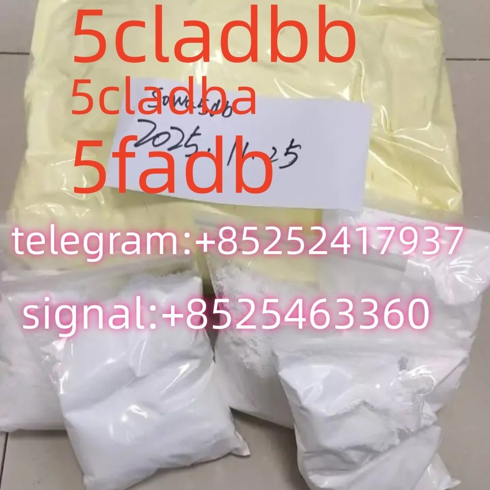 iterq313q