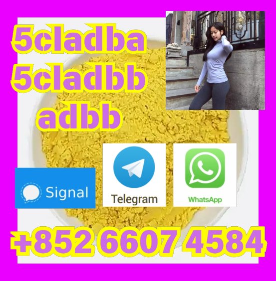 user 393312