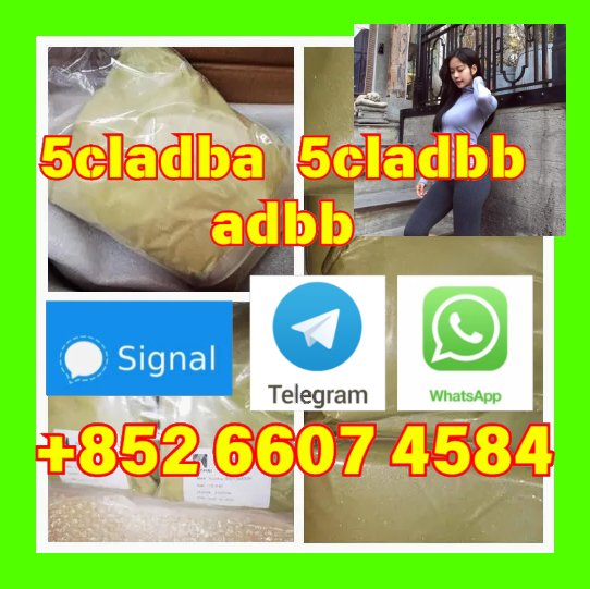 user 393312
