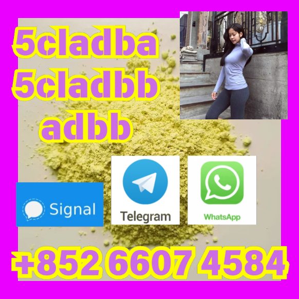 user 393312