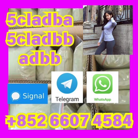 user 393312