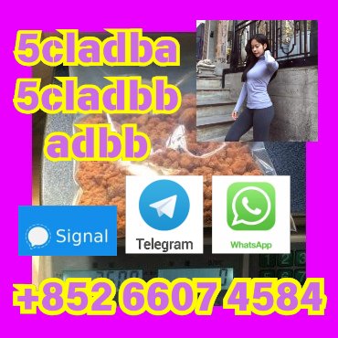 user 393312