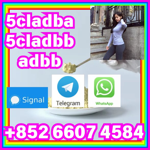 user 393312