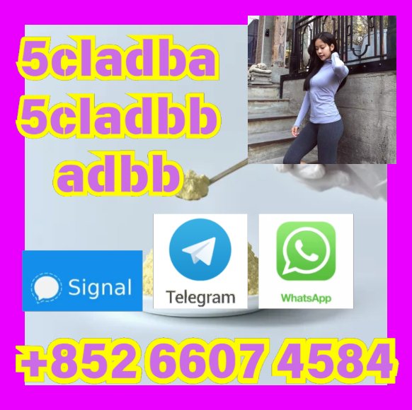 user 393312