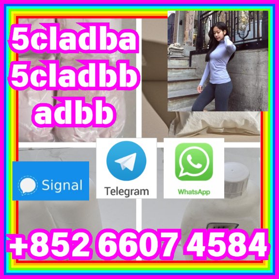 user 393312