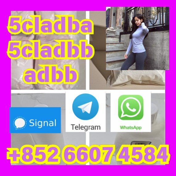 user 393312
