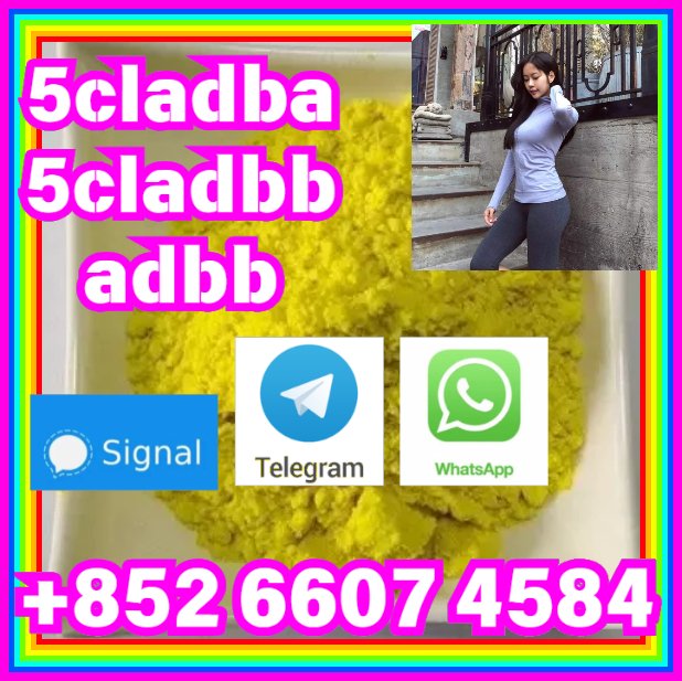 user 393312