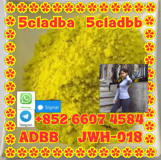 user 393312