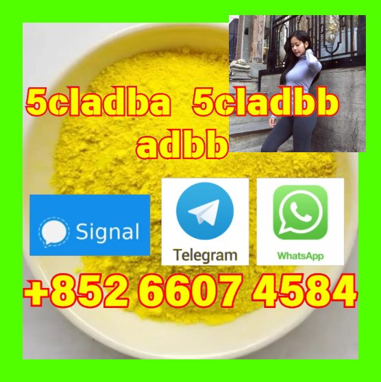 user 393312