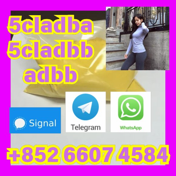user 393312