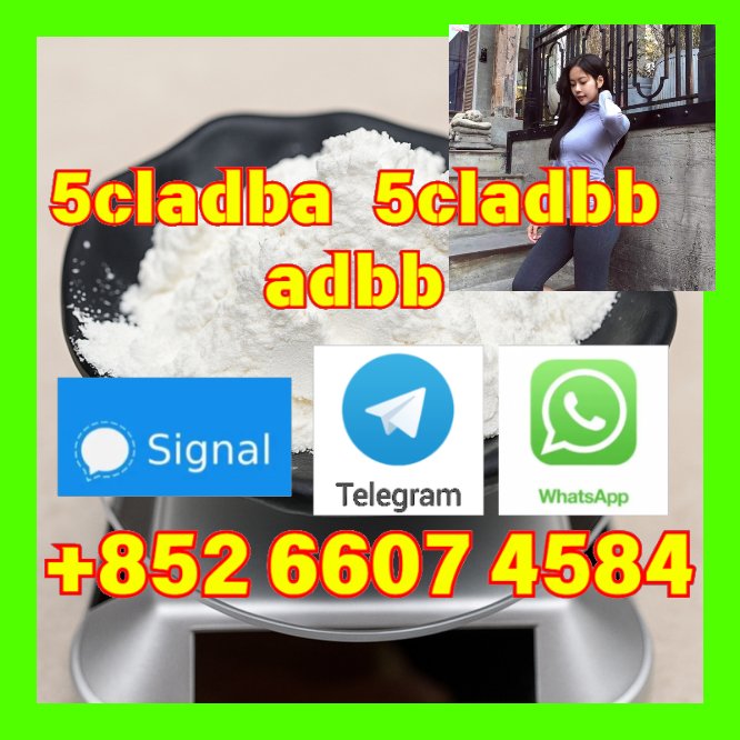user 393312