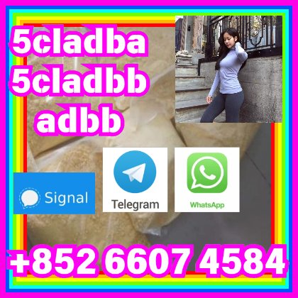 user 393312