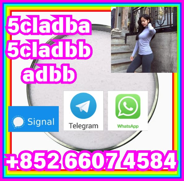 user 393312