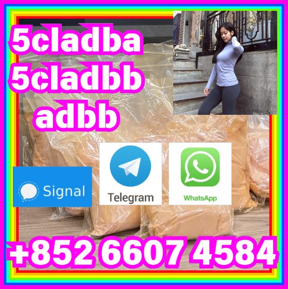 user 986546