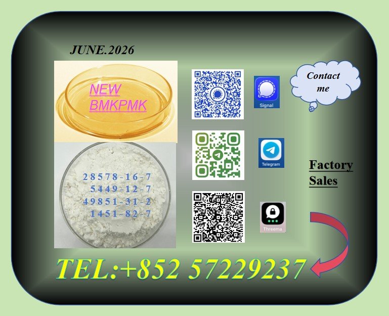 elisec645