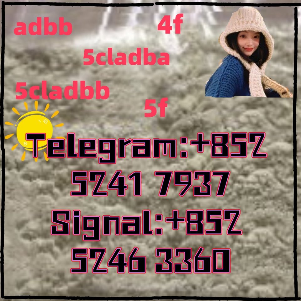 iterq313q