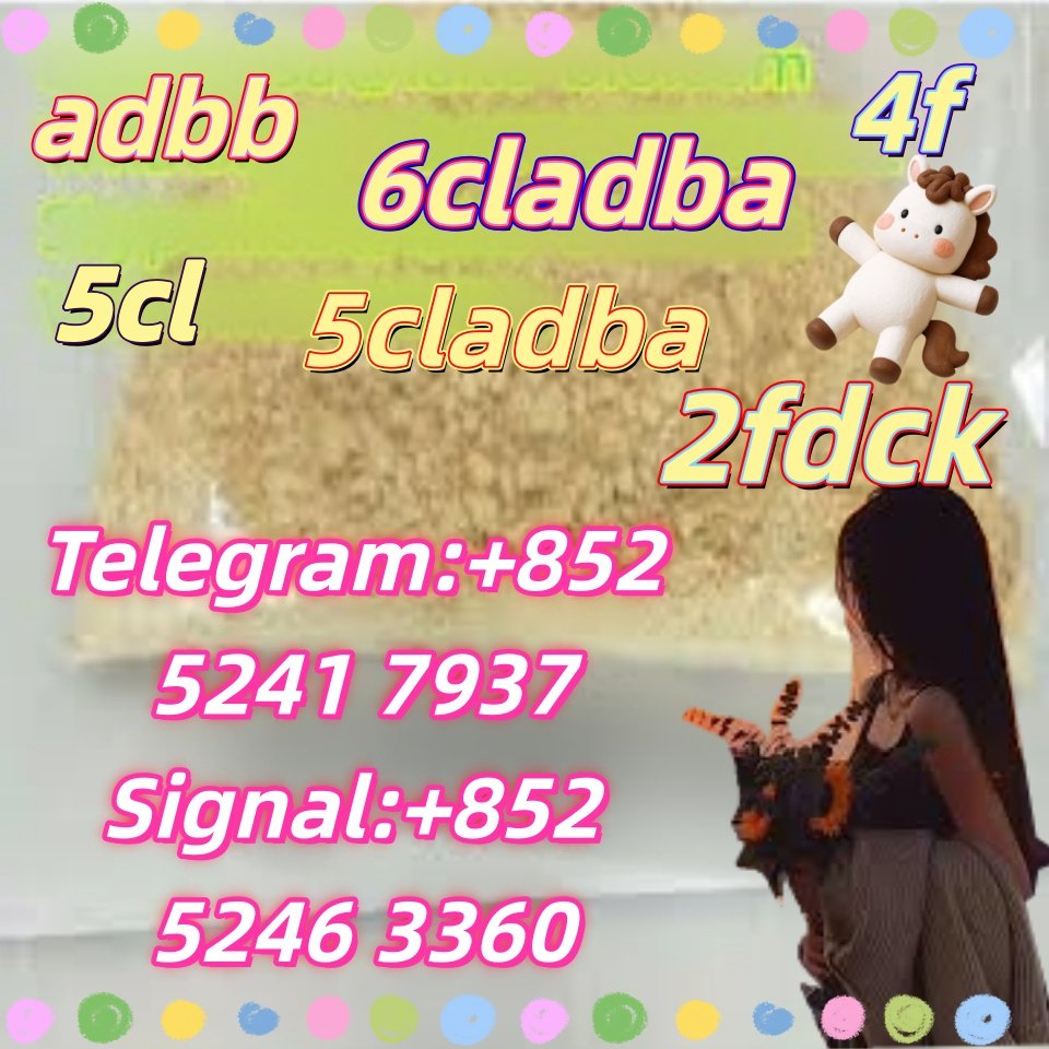 iterq313q