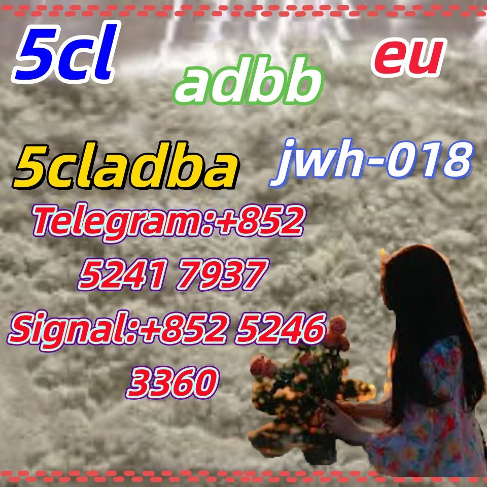 iterq313q