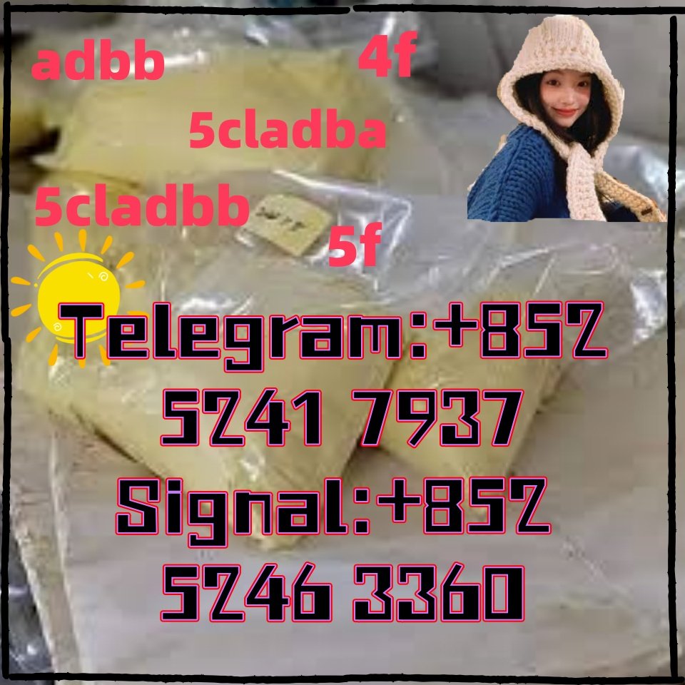 iterq313q