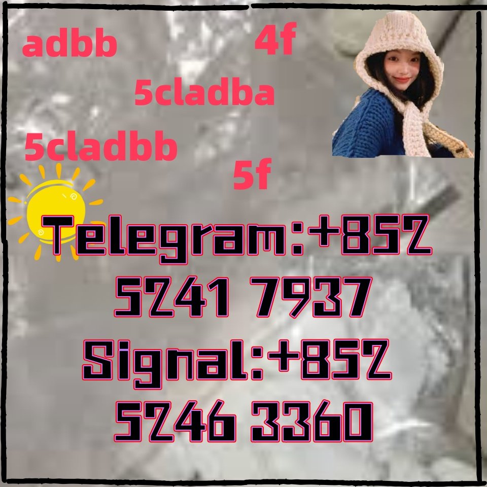 iterq313q