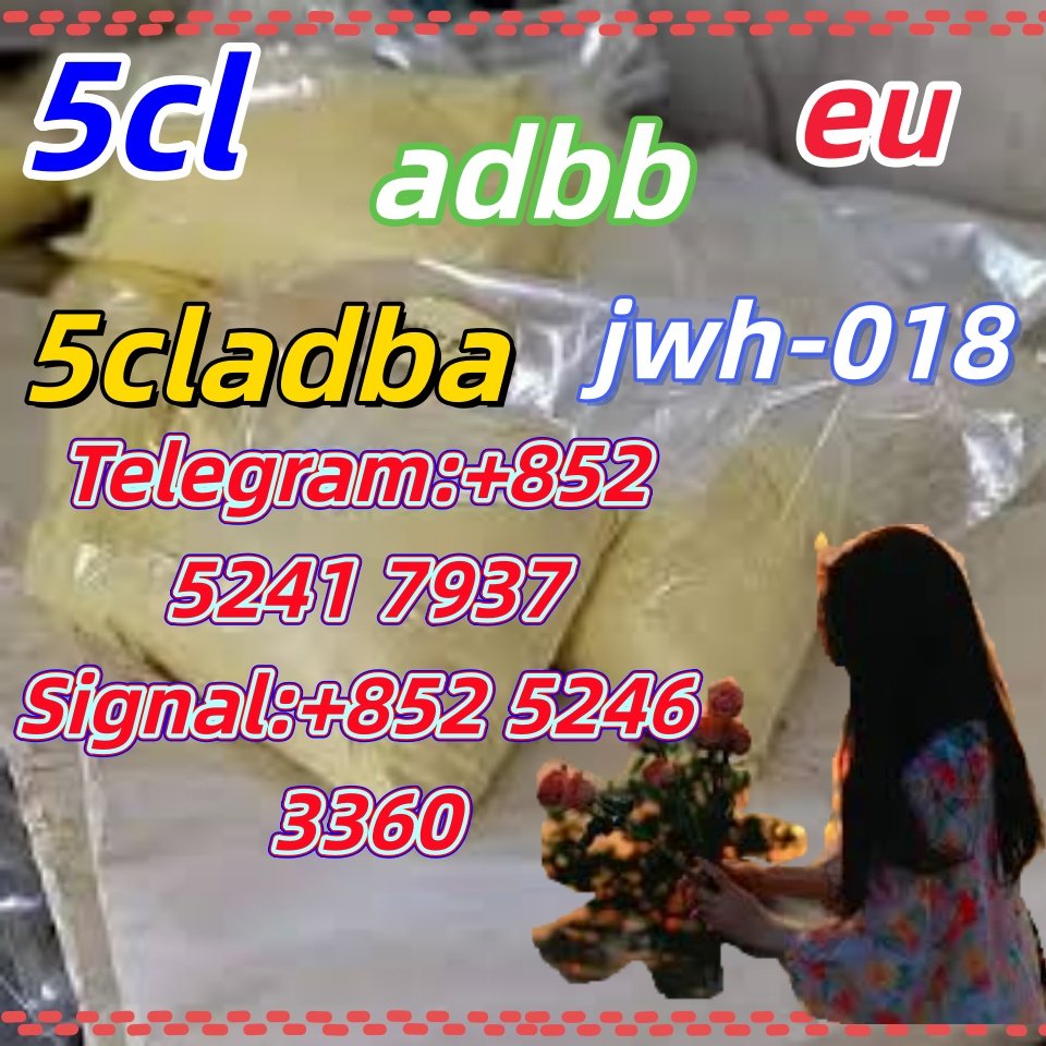 iterq313q