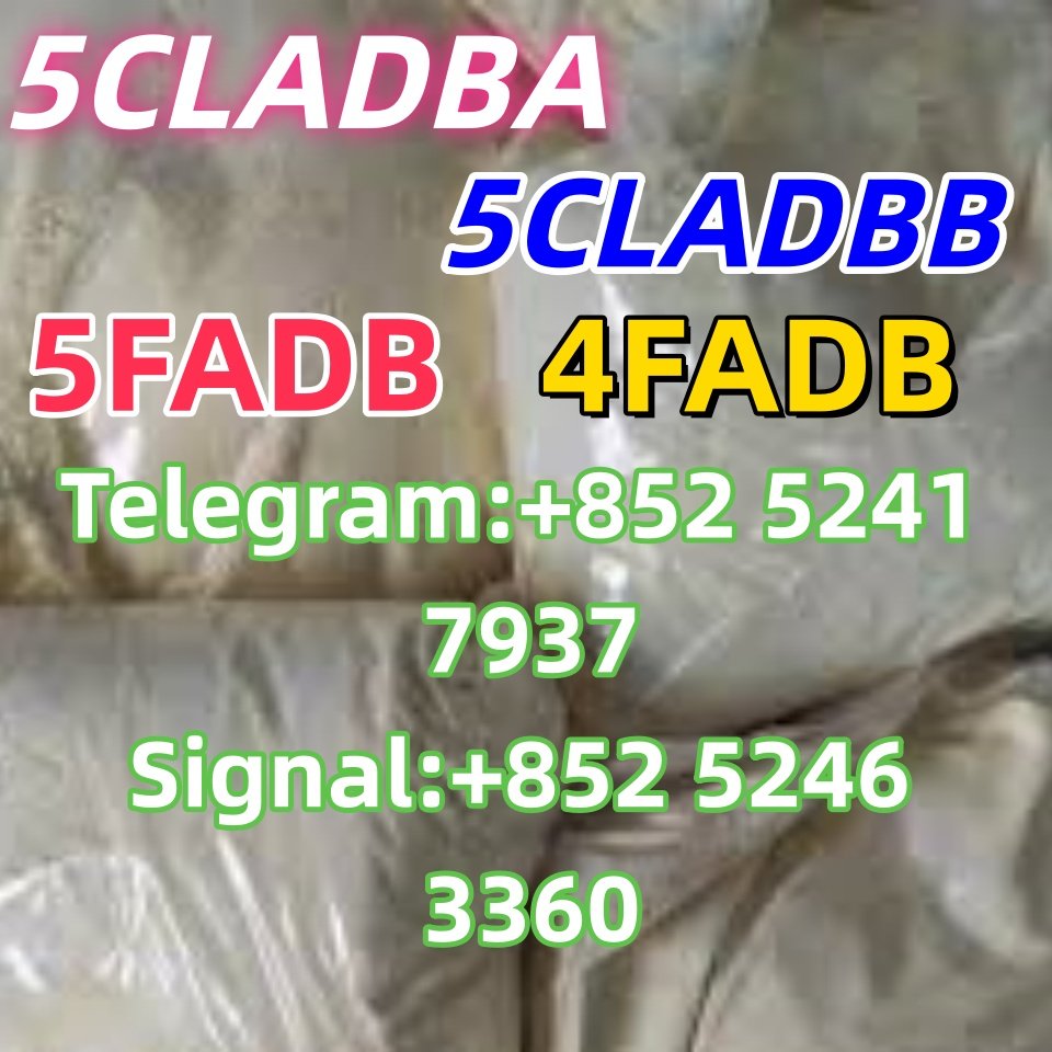 iterq313q