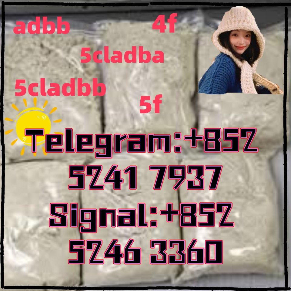iterq313q