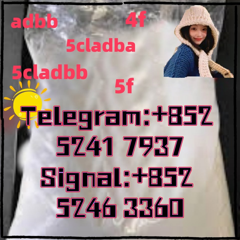 iterq313q