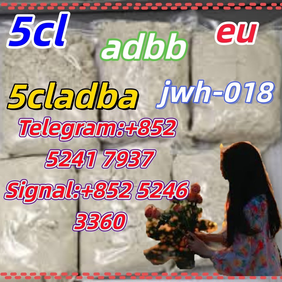 iterq313q