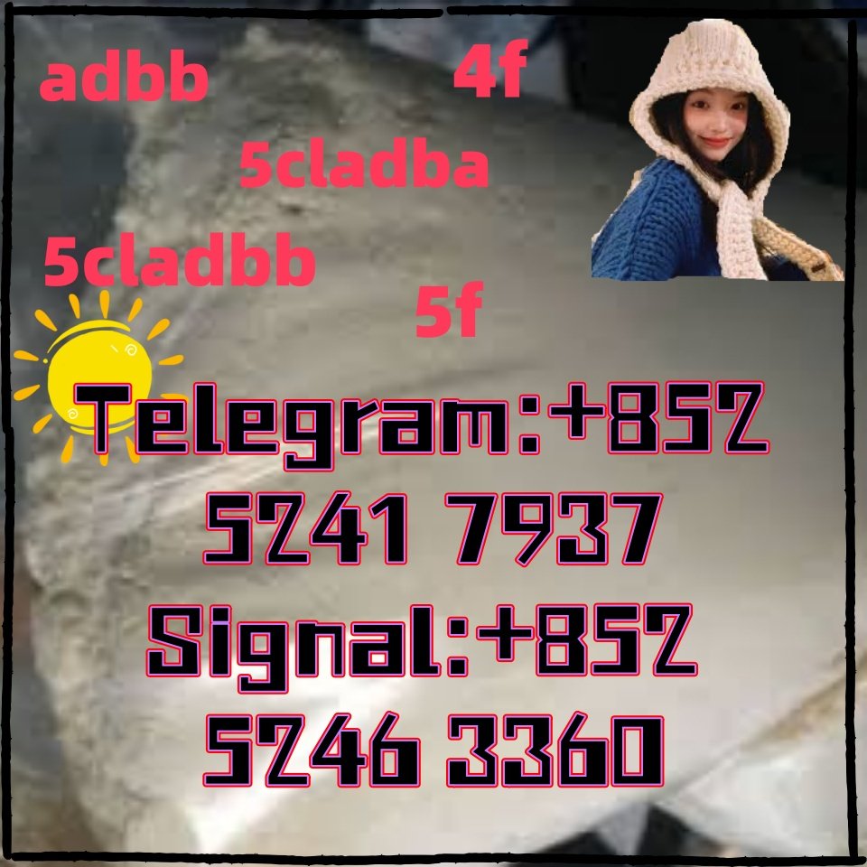 iterq313q