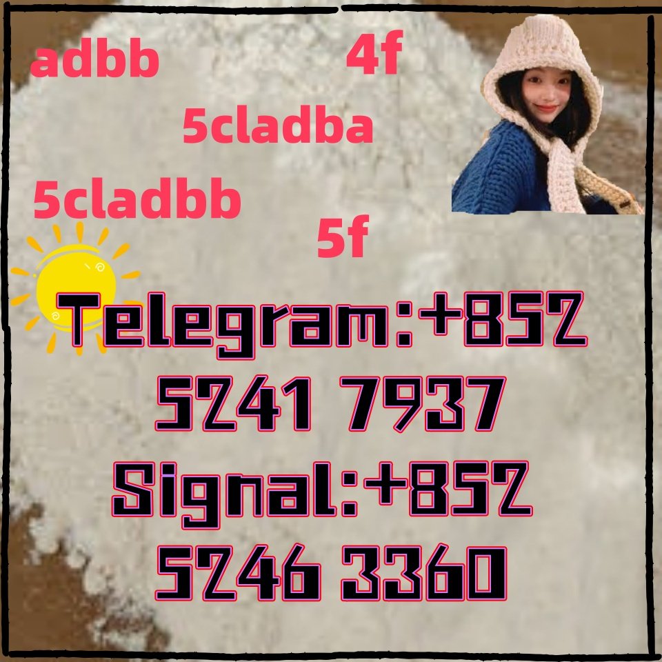 iterq313q