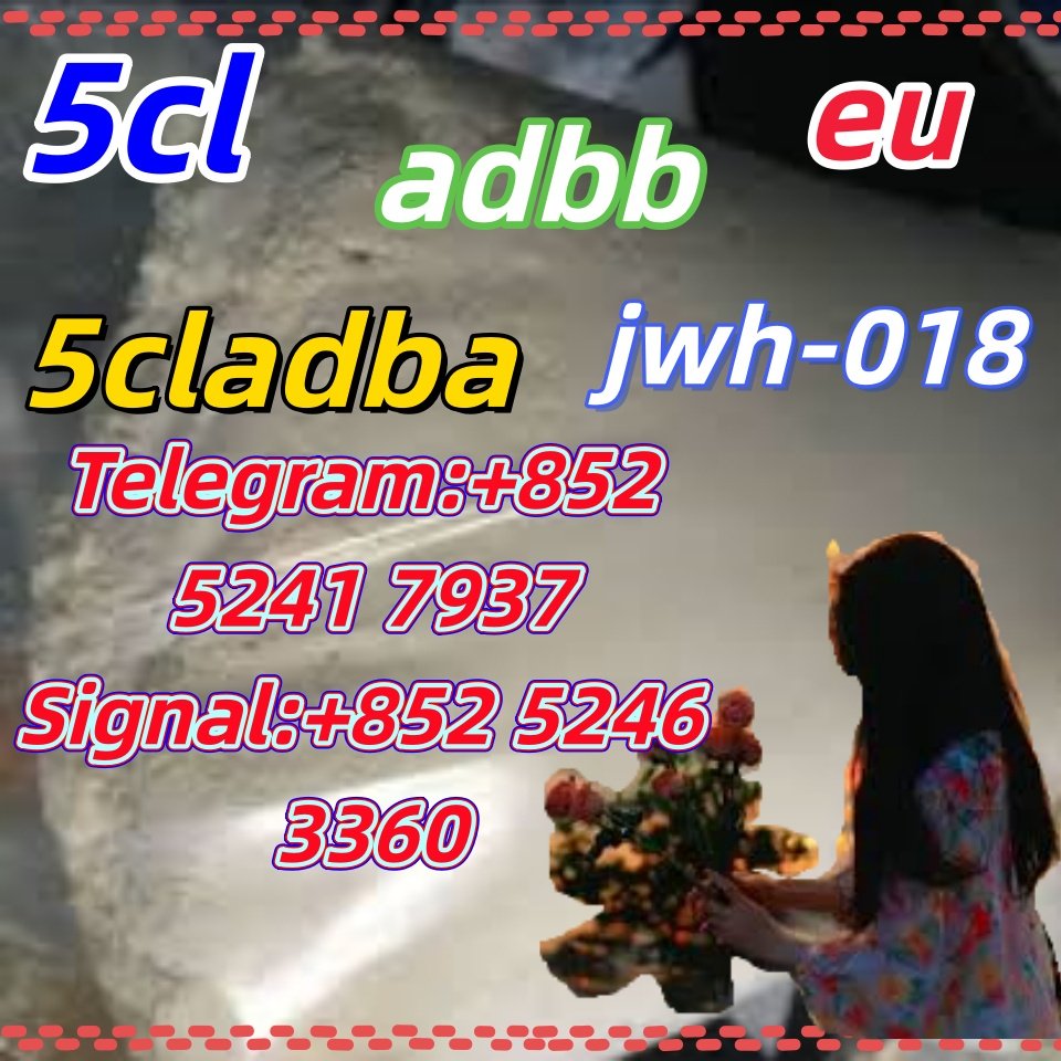 iterq313q