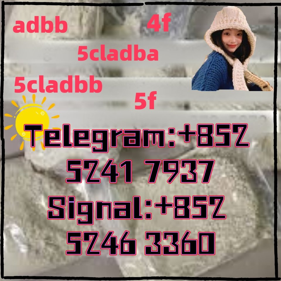 iterq313q