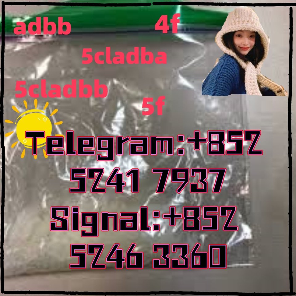 iterq313q