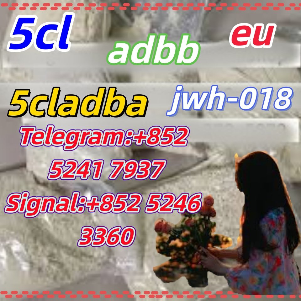 iterq313q