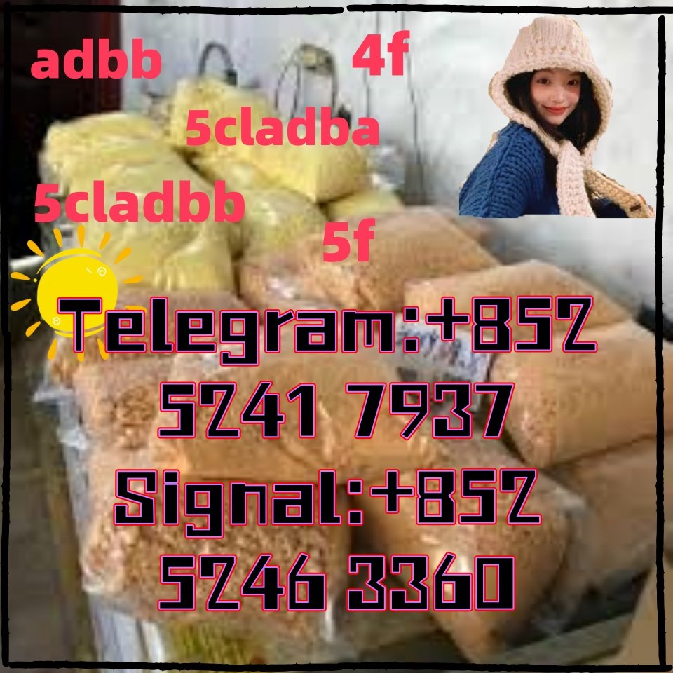iterq313q