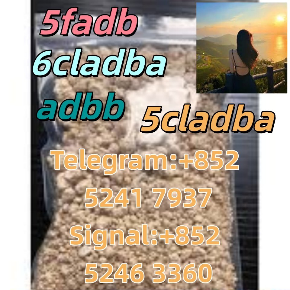 iterq313q