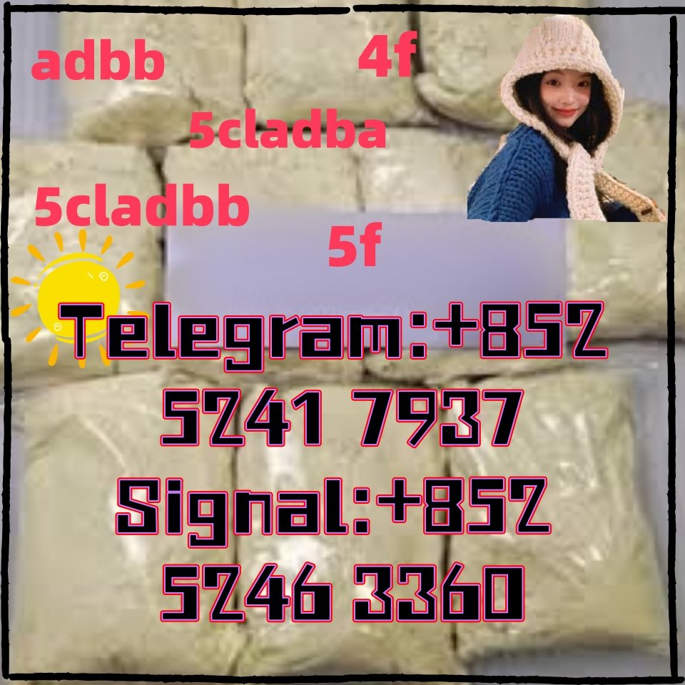 iterq313q