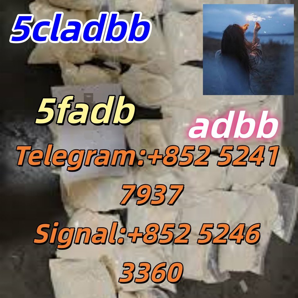 iterq313q