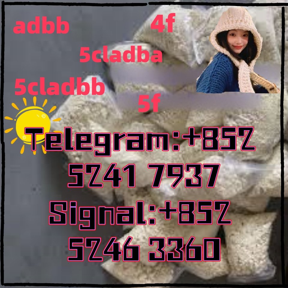 iterq313q
