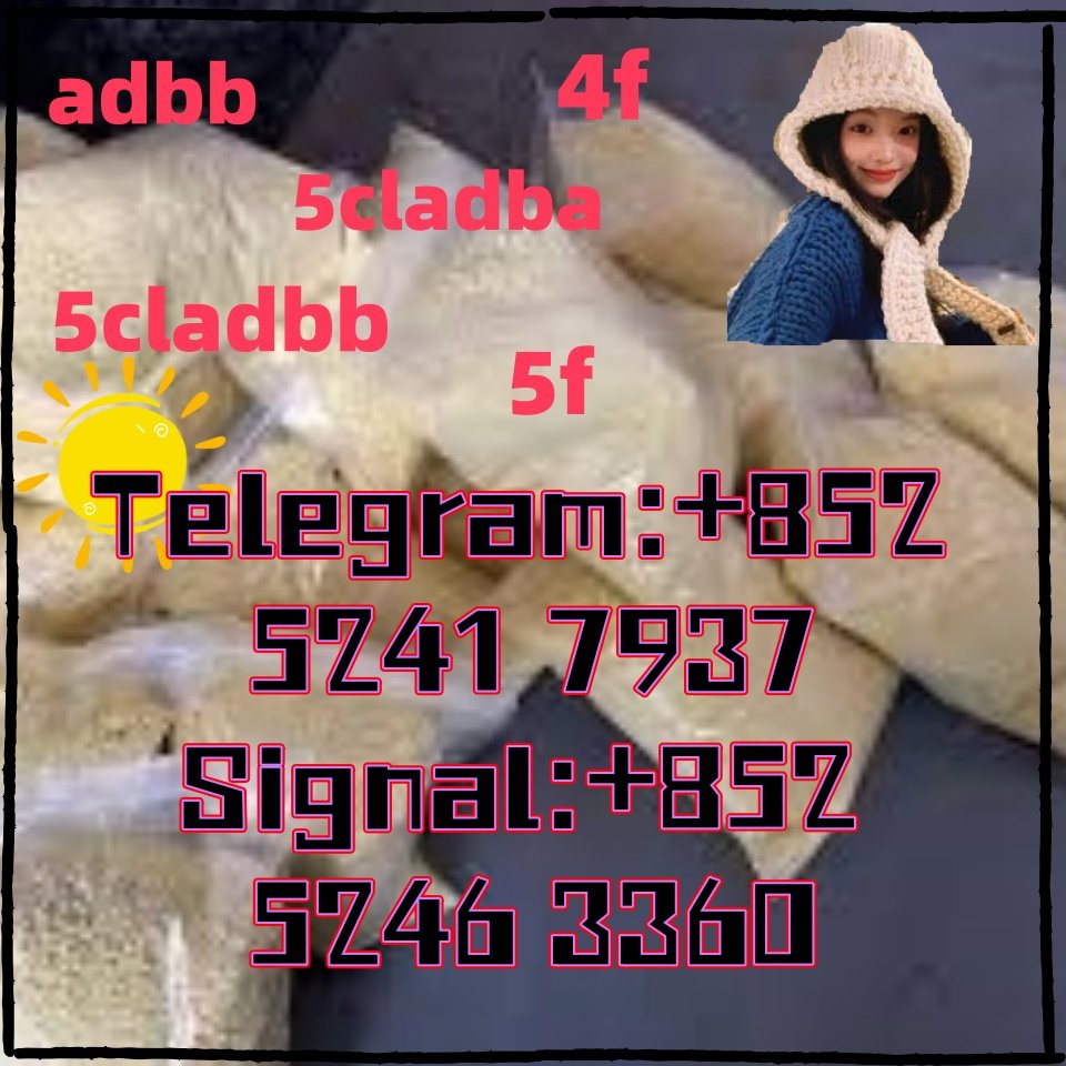 iterq313q