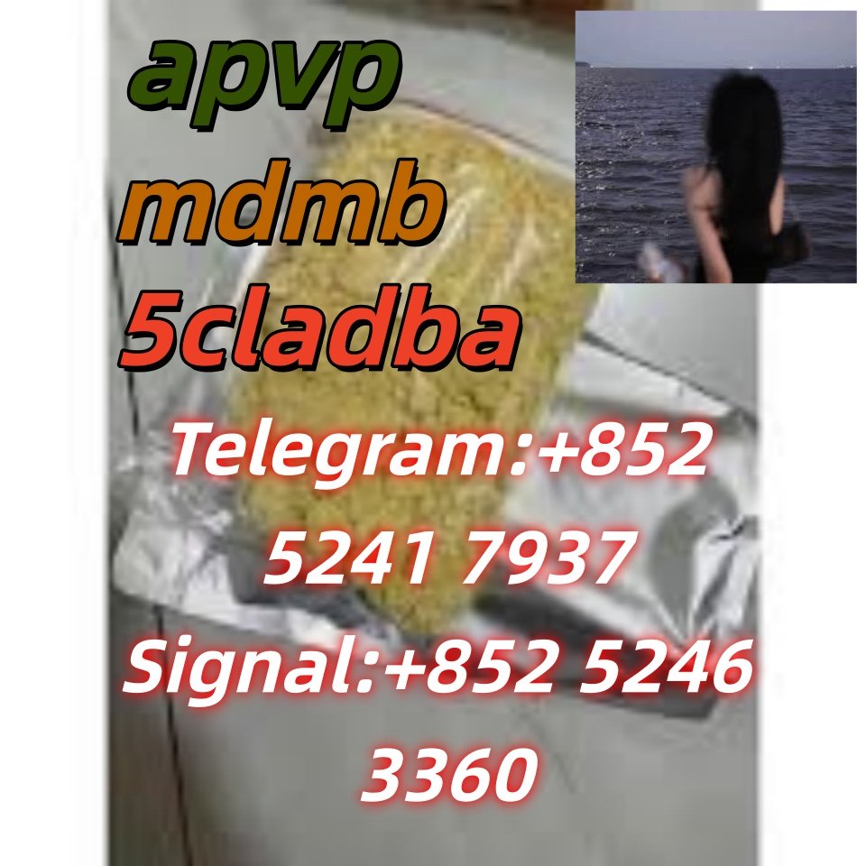 iterq313q