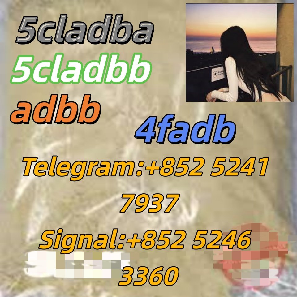 iterq313q