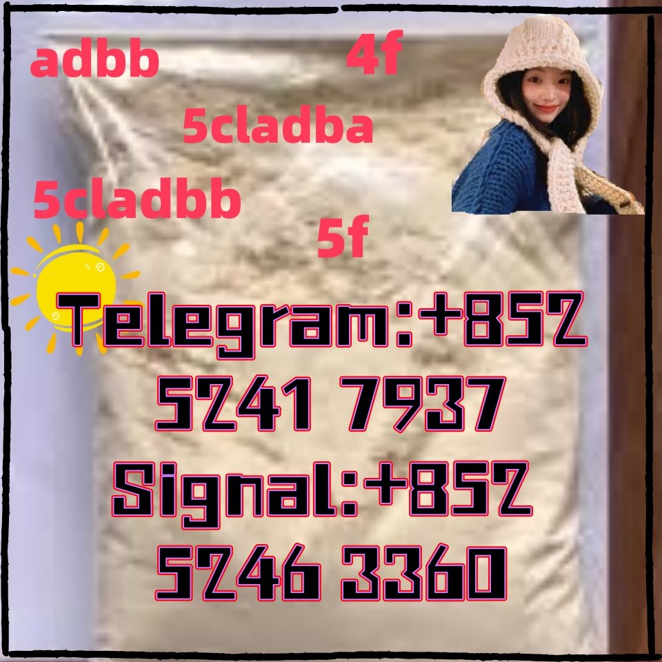 iterq313q