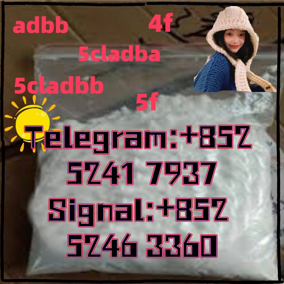 iterq313q